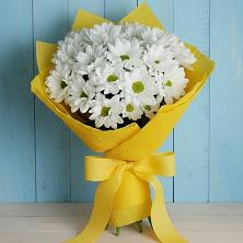 Букет цветов из:  Хризантемы в Нижнем Баскунчаке