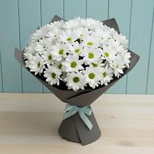 Букет цветов из:  Хризантемы в Нижнем Баскунчаке