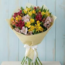 Букет цветов из:  Альстромерии в Нижнем Баскунчаке
